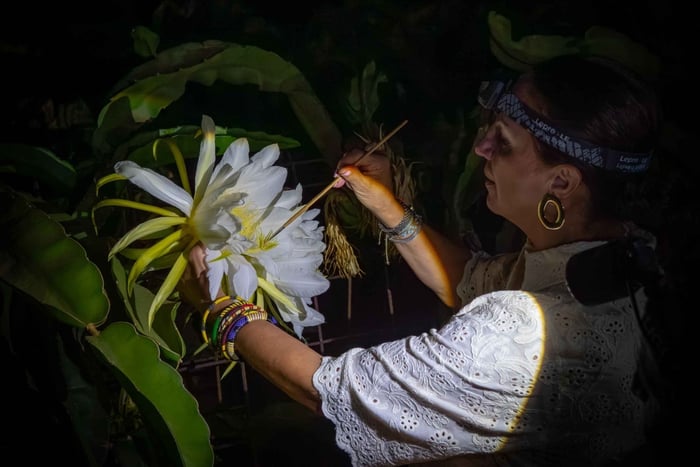 Erlebe die Blüte der Pitaya im Fimapaire-Tal