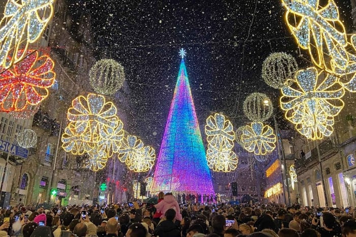 escursione alle Luci di Vigo e Pontevedra con trasferimento in barca