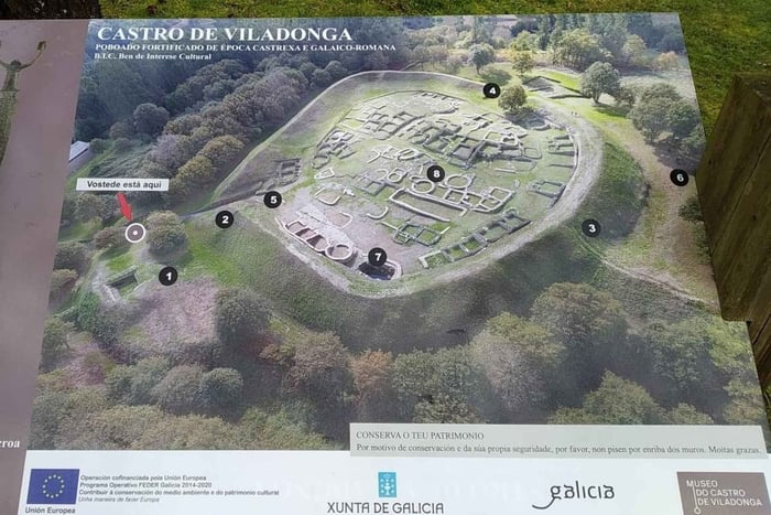 Depuis Lugo : Excursion d'une demi-journée à la colline de Viladonga