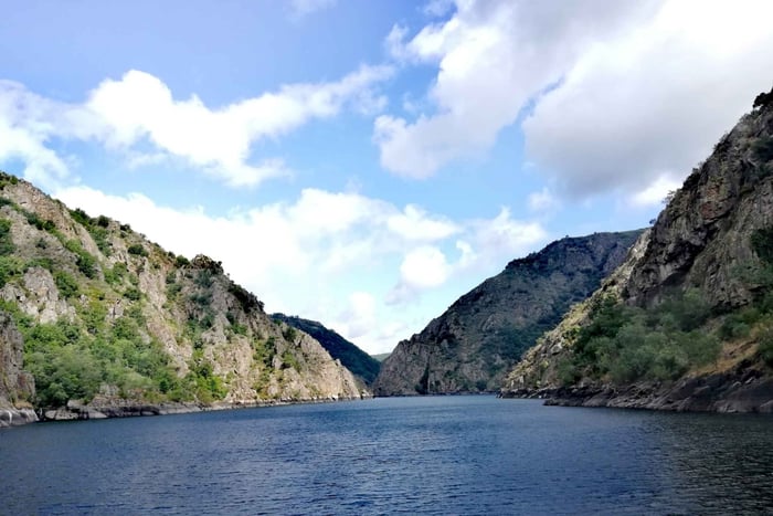 Depuis Santiago : excursion à Ribeira Sacra et Ourense