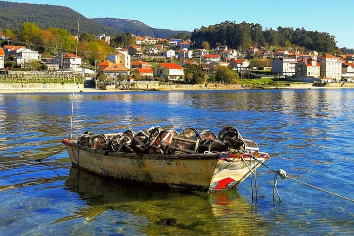 De Santiago: Excursão de 1 Dia Frutos do Mar e Vinhos nas Rías Baixas da Galícia