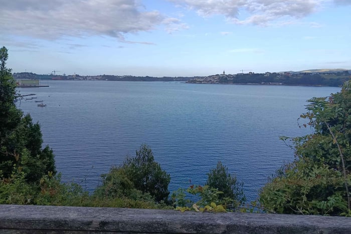 Guidet fuglekiggetur i Molino de Marea i Ribadeo