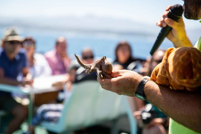 Oktopus-Strecke mit Lebensmittelverkostung in der Ría de Pontevedra