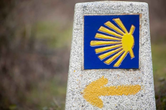 Porto: E-sykkelutleie for Camino de Santiago