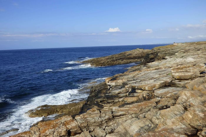 Ribadeo : observation guidée des oiseaux et promenade côtière à Rinlo