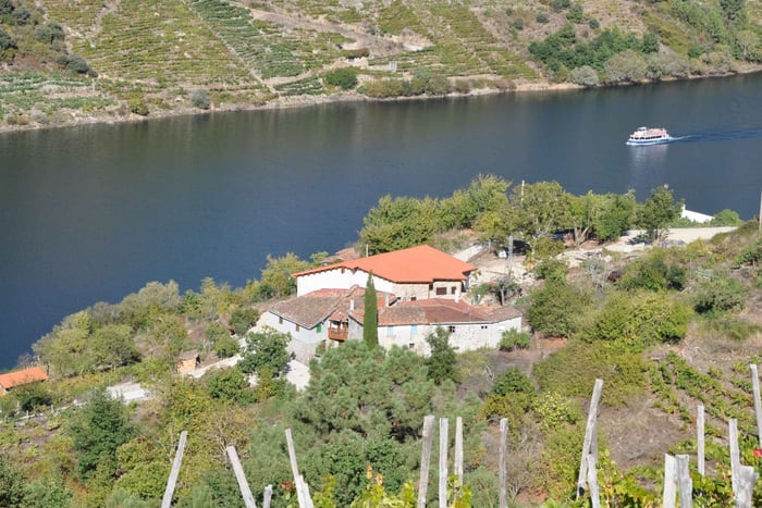Ribeira Sacra : visite de la cave et des vignobles Ronsel do Sil avec dégustation de vins