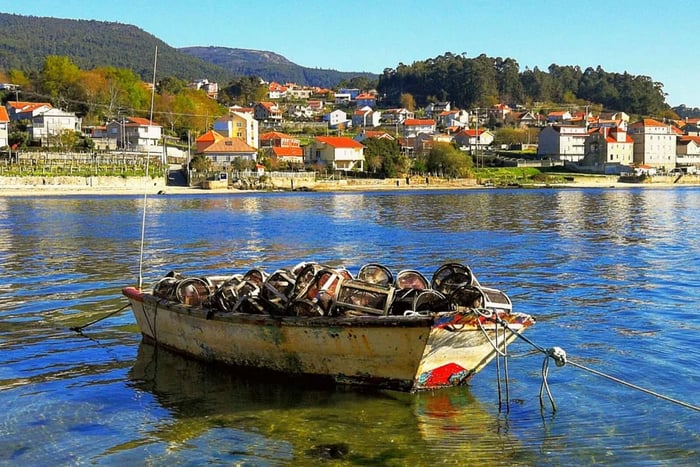 Från Santiago: Rías Baixas Galicia Seafood & Wine Day Tour