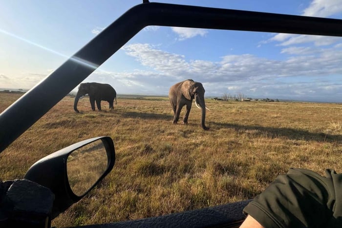Desde Ciudad del Cabo: safari de 3 días, pingüinos y visita a Mossel Bay.