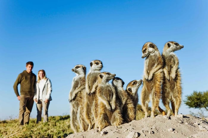 Desde Ciudad del Cabo: ecotour de 4 días por la Ruta Jardín con alojamiento