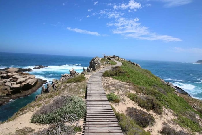 Fra Cape Town: 4-dages tur på Garden Route og vildtsafari
