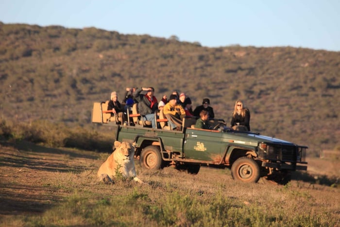 From Cape Town: 5-Day Garden Route & Addo Elephant Park Tour