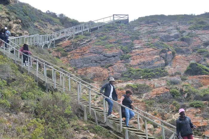 From Knysna: Mossel Bay Heritage & Garden Route Tour