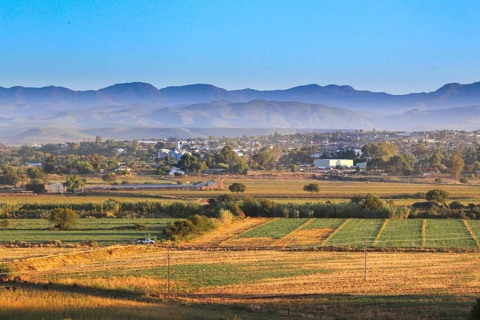 De Knysna: Passeio Particular de Carro pelas Montanhas Panorâmicas até Oudtshoorn