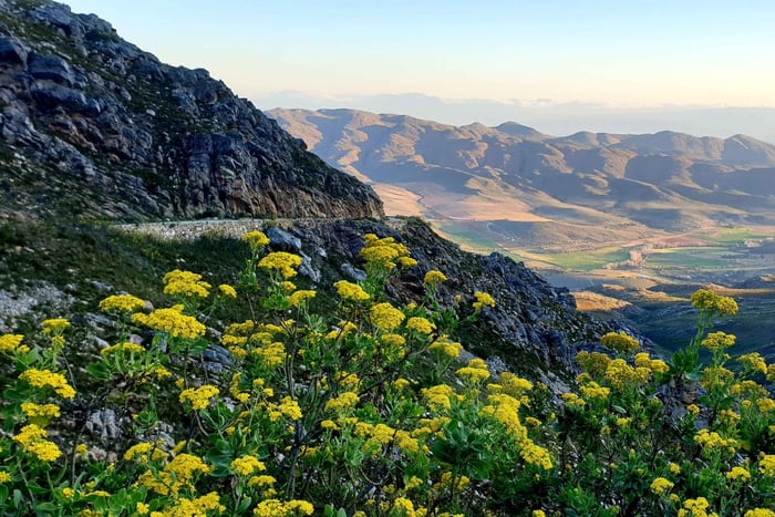Oudtshoorn: Half-Day Swartberg Pass Private Guided Tour