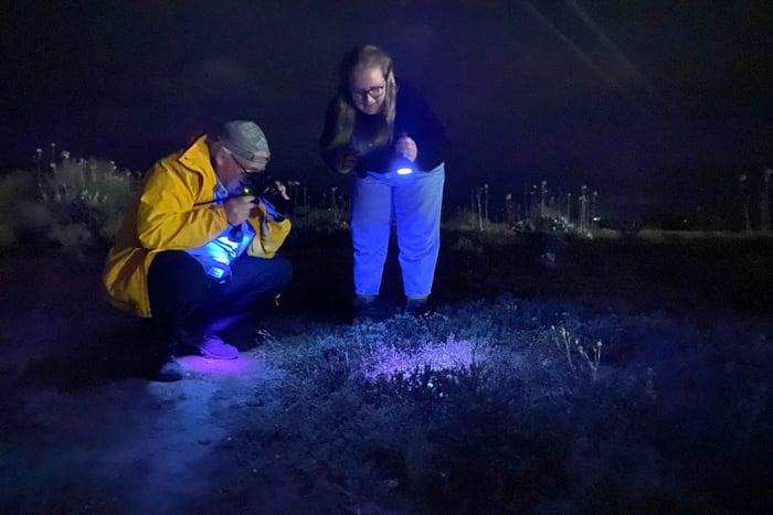 Oudtshoorn: Night Time Nature Walk