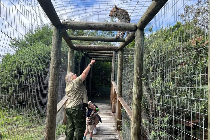 Bahía de Plettenberg: Excursión familiar EcoKidz