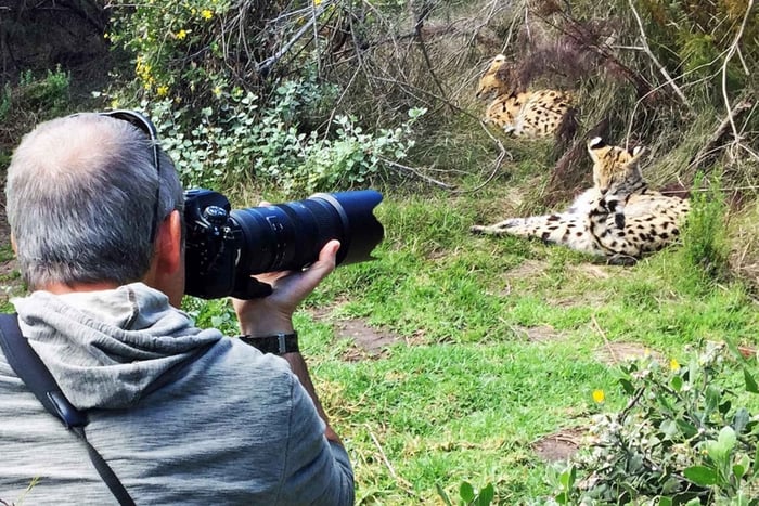 Plettenberg Bay: Privat guidet tur med fotografering av dyreliv