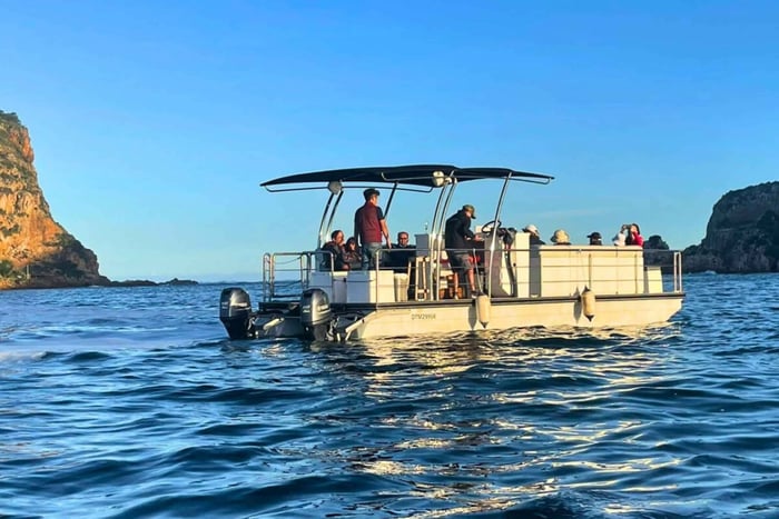 Knysna: 75-Minute Lagoon Boat Cruise