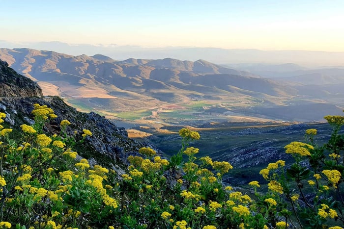 Oudtshoorn: Halvdagsutflykt Swartberg Pass Privat guidad tur
