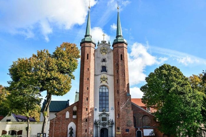 Tour privato: città vecchia di Danzica e Cattedrale di Oliwa da Gdynia