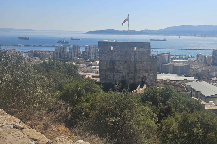 Gibraltar : visite Deluxe du Rocher avec entrée à la réserve naturelle