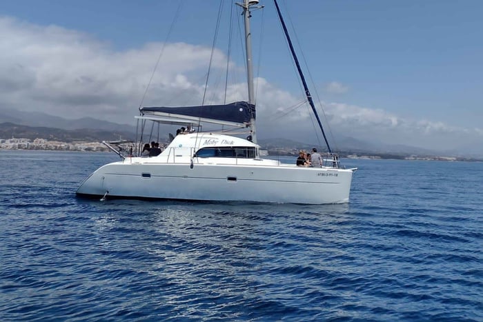 Dolphin watching in Estepona
