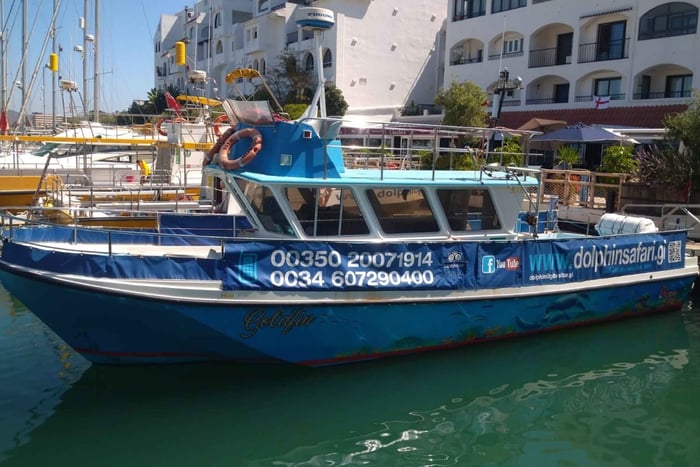 Gibraltar: dolfijnen spotten op een vip-boottocht