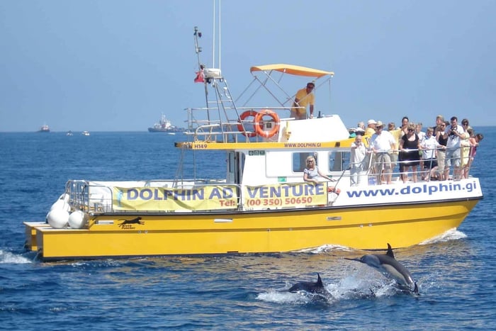Gibraltar: Delfiinien katseluretki