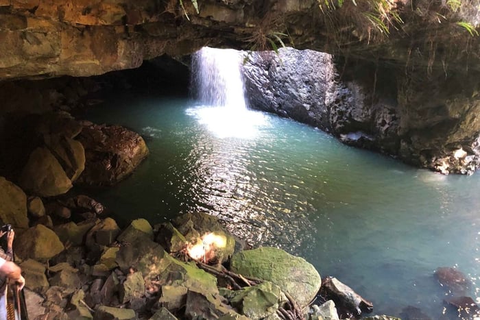 Brisbane: Springbrook und Mt Tamborine Glühwürmchen und Skywalk