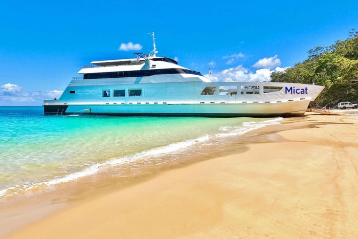 Desde Brisbane: Excursión de un día a Moreton Island