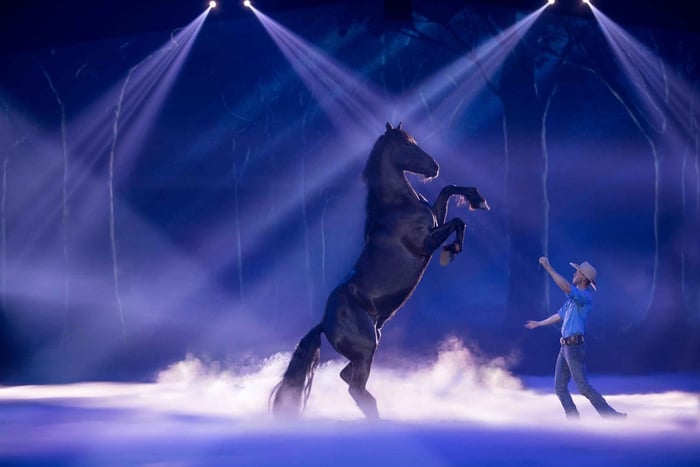 Gold Coast: Australian Outback Spectacular Dinner & Show