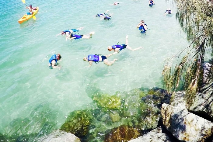 Gold Coast: excursión en kayak y snorkel con alimentación de peces