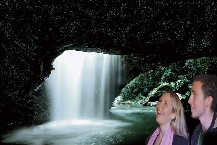 Gold Coast: Natural Bridge Glow Worm Night Tour