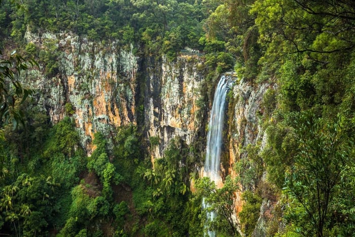 Costa Dorada: Excursión al Puente Natural y las Cascadas de Springbrook