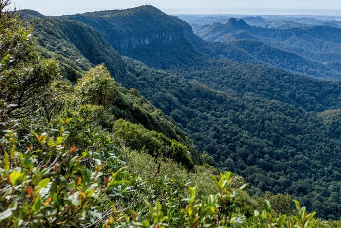 Spring Brook National Park Driving Tour mit einer APP