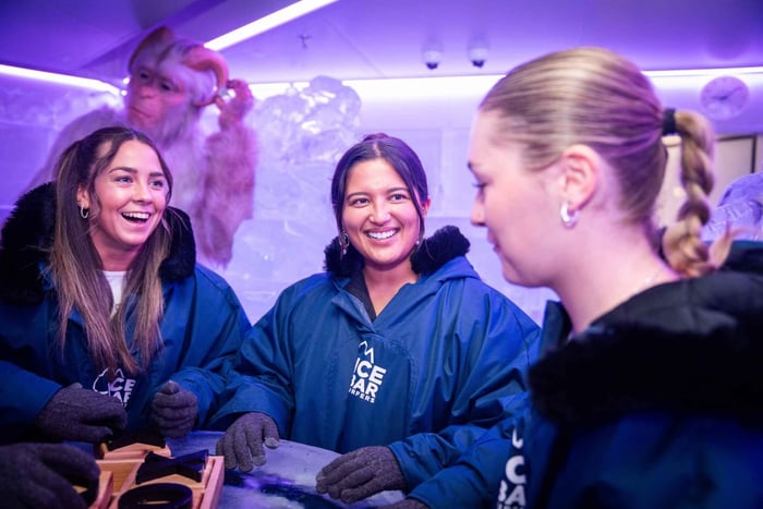 Surfers Paradise: IceBar toegangsbewijs en drankje