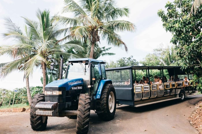 Komplette Farmtour durch die Tropical Fruit World