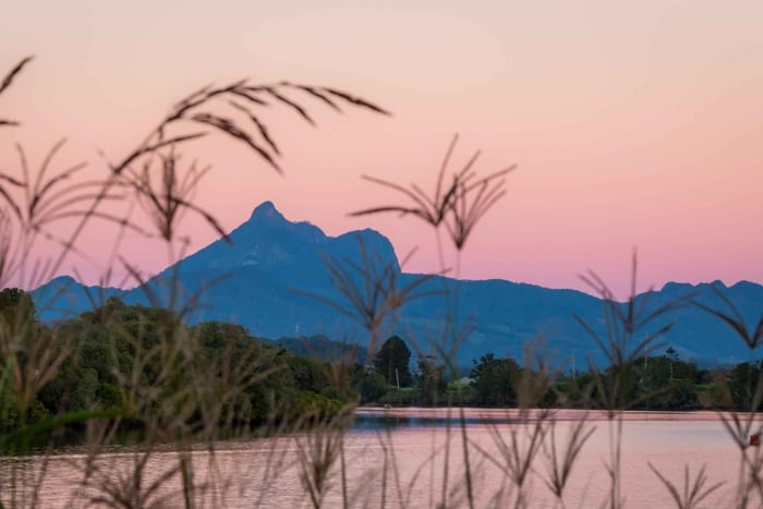 Tweed River: Sunset Cruise with Live Music and Grazing Box