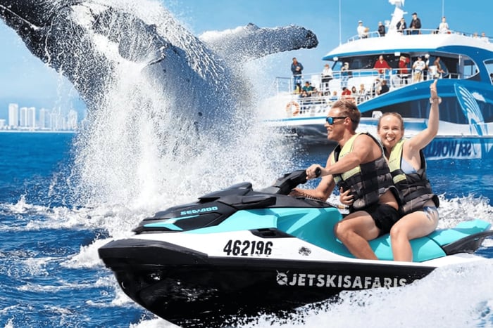 Observação de baleias para 2 pessoas mais 30 minutos de safari de jet ski