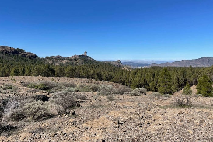 excursión al Roque Nublo
