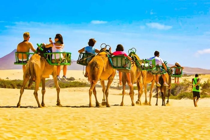 E-Bike City Tour included Camel Tour inside Maspalomas Dunes