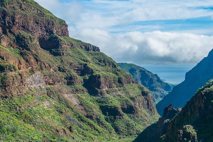 Gran Canaria Essential Tour: History, Nature, and Tradition