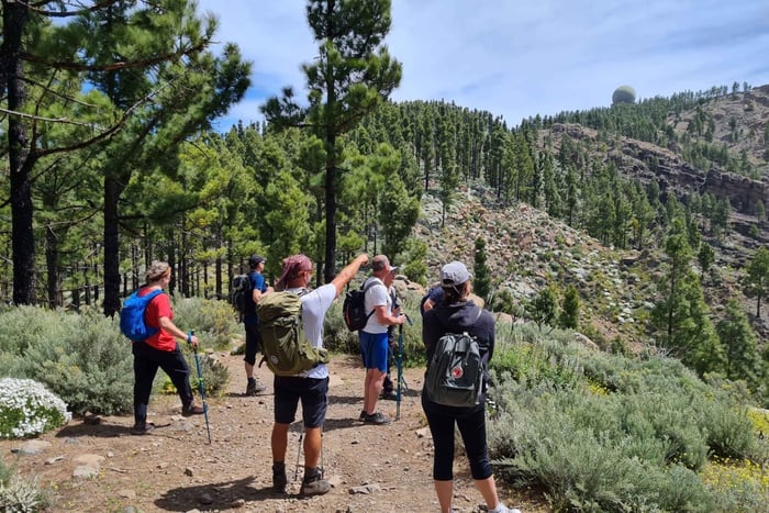 Gran Canaria: 'Peaks of Gran Canaria' Hiking Tour