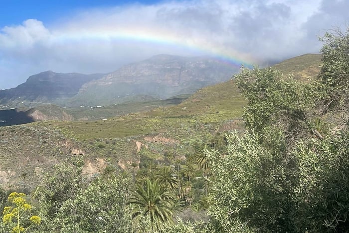 Senderismo Barranco de Guayadeque y Pueblo de Ingenio
