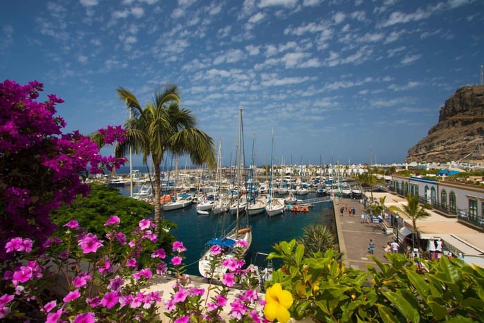 Half Day Puerto de Mogán Friday Market & Shopping Experience