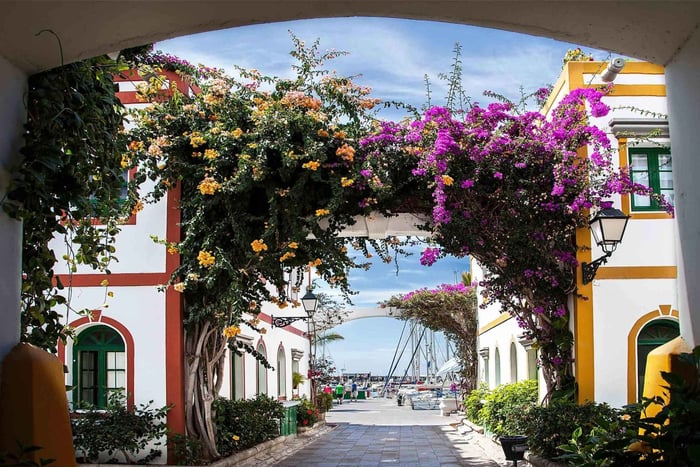 Highlights of the south of Gran Canaria