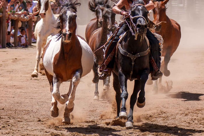 Maspalomas: Tickets to Sioux City Park
