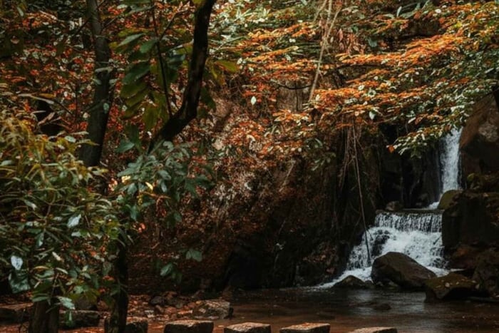 Moganshan: excursión de 1 día a la Montaña de Bambú y a la cascada