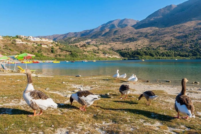 Desde Chania: Lago Kournas y Manantial de Argiroupoli Tour guiado
