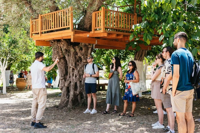 Desde Chania: Excursión de degustación de vino y aceite de oliva con aperitivos